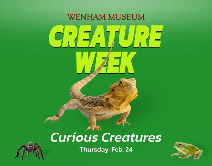 Creature Week: Curious Creatures! - Wenham Museum